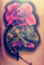 男生背部彩绘水彩素描创意唯美花朵动物纹身图片