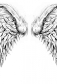 黑灰素描点刺技巧描绘的创意霸气精致翅膀纹身手稿