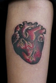 男生手臂上彩绘渐变抽象线条心脏和大脑纹身图片