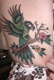 女生大腿上彩绘渐变简单线条植物花朵和鸟纹身图片