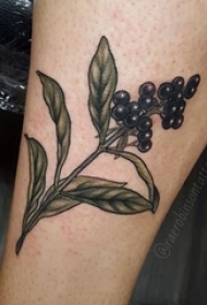 男生小腿上彩绘渐变简单线条植物叶子和果实纹身图片