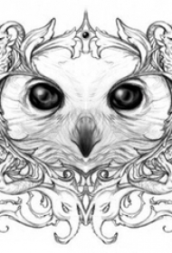 黑灰素描创意文艺精致猫头鹰纹身手稿