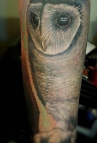 男生小腿上黑灰点刺简单线条小动物猫头鹰纹身图片