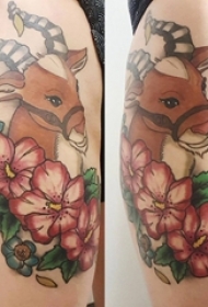 女生大腿上彩绘渐变简单线条植物花朵和小动物鹿纹身图片