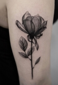 女生手臂上黑灰素描点刺技巧创意文艺唯美花朵纹身图片