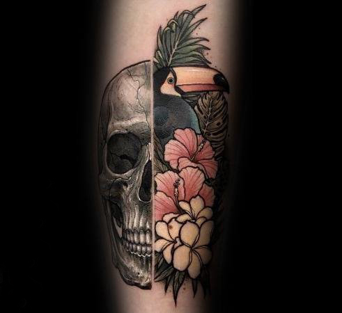 多款彩绘水彩素描创意经典大嘴鸟动物纹身图案