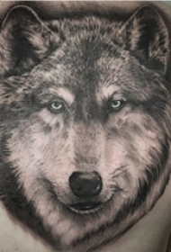 后背纹身男 男生后背黑色的狼头纹身图片