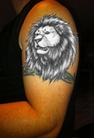 男生手臂上黑灰素描点刺技巧霸气狮子纹身图片