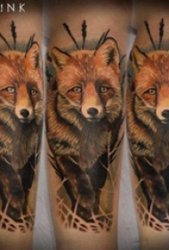 彩色狐狸纹身 男生手臂上彩色狐狸纹身图片