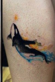 纹身鲸鱼 男生小腿上彩色的鲸鱼纹身图片