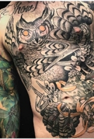纹身猫头鹰 男生腹部彩绘纹身猫头鹰图片