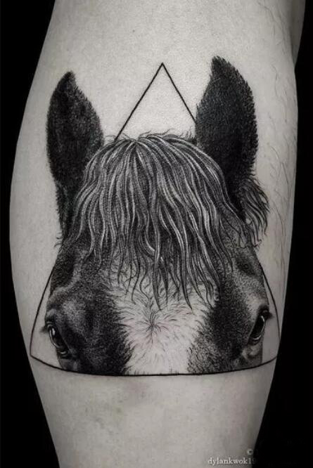 多款设计感十足的动物马纹身图案