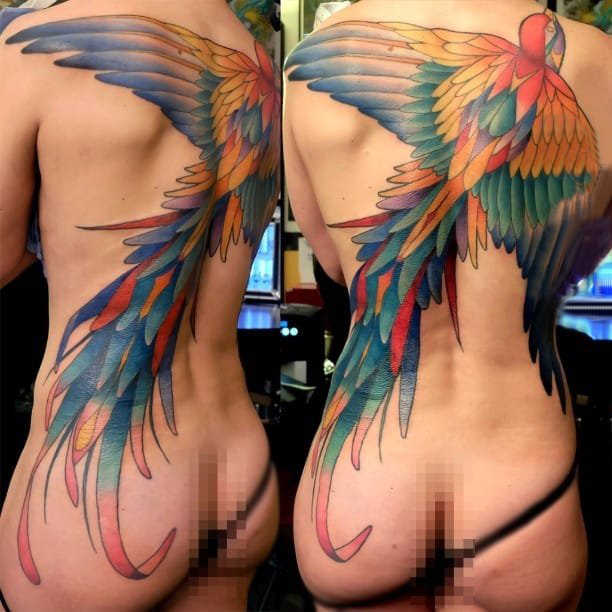 百乐动物纹身 多款彩色渐变纹身素描百乐动物纹身图案