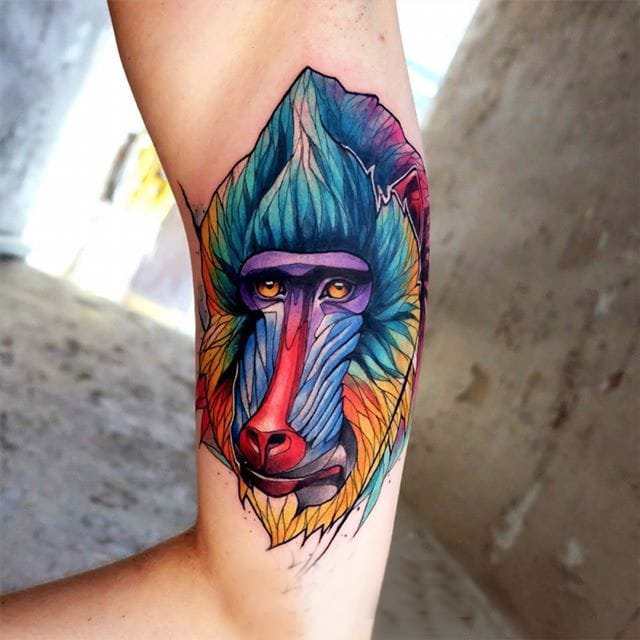 百乐动物纹身 多款彩色渐变纹身素描百乐动物纹身图案