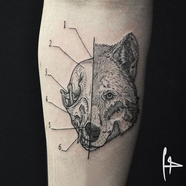 欧美抽象纹身 多款简单线条纹身欧美抽象纹身图案