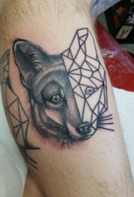 小动物纹身 男生小腿上黑色的狐狸纹身图片