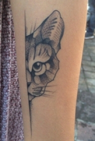 百乐动物纹身 女生手臂上素描的猫咪纹身图片