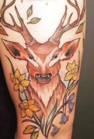 欧美小腿纹身 女生小腿上花朵和鹿纹身图片