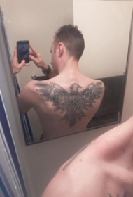 纹身老鹰图案 男生背部动物纹身老鹰图案