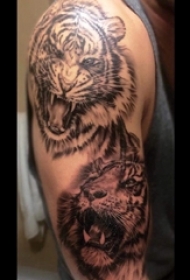 老虎图腾纹身 男生手臂上老虎纹身图案