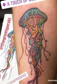 百乐动物纹身 男生小腿上彩色的水母纹身图片