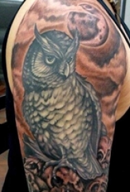 纹身猫头鹰 男生手臂上猫头鹰图腾纹身图片