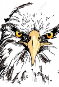 老鹰纹身手稿 多款简单线条纹身动物老鹰纹身手稿