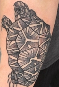 乌龟纹身图案 男生手臂上乌龟纹身图案