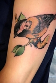 小鸟纹身图案 女生手臂上小鸟纹身图案
