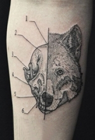 欧美抽象纹身 多款简单线条纹身欧美抽象纹身图案