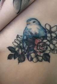侧腰纹身图 女生侧腰上花朵和小鸟纹身图片