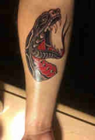 手臂纹身素材 男生手臂上彩色的蛇头纹身图片