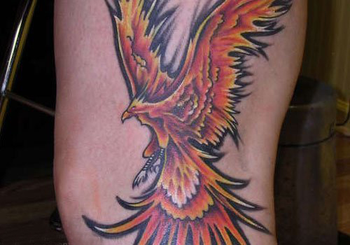 纹身凤凰 多款彩绘纹身凤凰图腾纹身图案