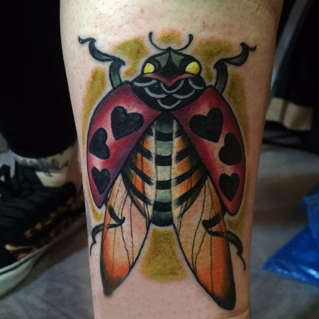 纹身虫 多款彩绘纹身虫小动物纹身图案