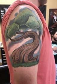 松树花臂纹身 男生大臂上彩色的大树纹身图片