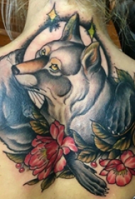 百乐动物纹身 女生背部动物纹身图片