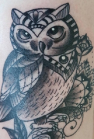 纹身猫头鹰 女生大腿上猫头鹰纹身图片