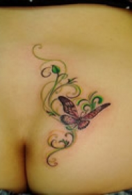 优美艺术蝴蝶纹身