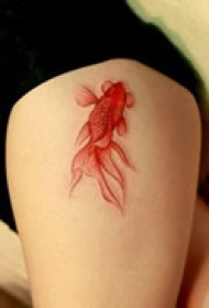 精美臀部金鱼系列