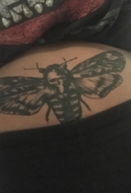 蝴蝶纹身图片 女生腹部蝴蝶纹身图片