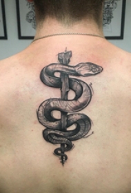 纹身蛇魔 男生背部蛇纹身图片