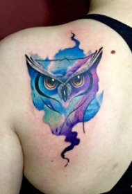 纹身猫头鹰 多款彩色渐变纹身猫头鹰动物纹身图案