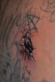 逼真立体苍蝇图纹