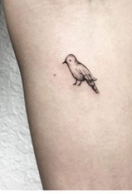 手臂纹身图案女生 女生手臂上黑色的小鸟纹身图片