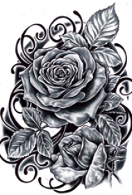 纹身玫瑰手稿 多款简单线条纹身素描小清新文艺纹身玫瑰手稿