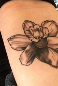 睡莲花纹身 女生手臂上莲花纹身图片