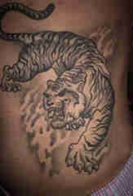 老虎图腾纹身 男生侧腰上老虎图腾纹身图片
