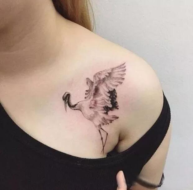 多款精美的传统仙鹤白鹤纹身图案