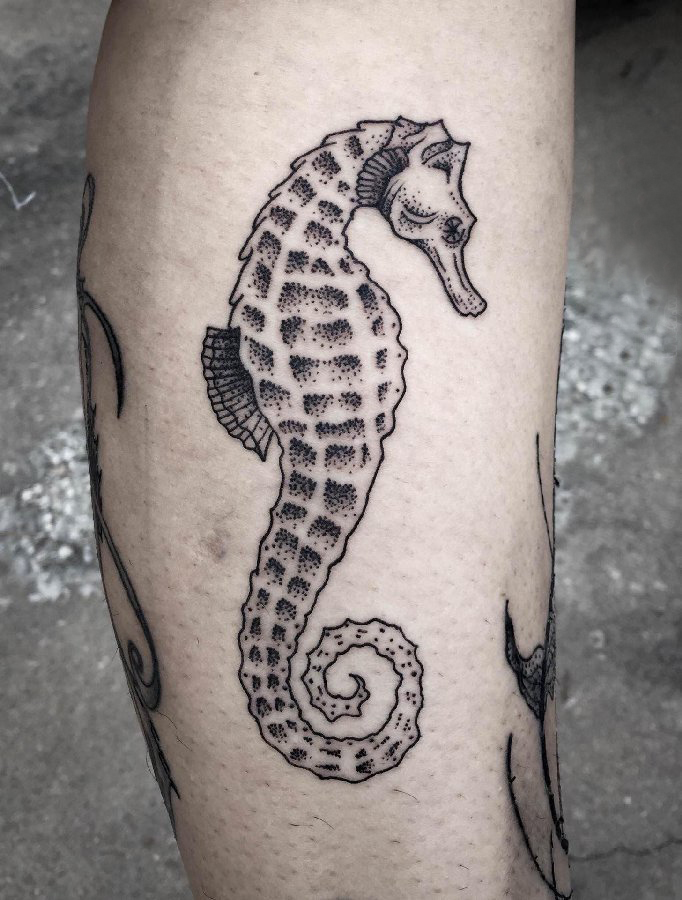 海马纹身图案 男生小腿上海马纹身图案