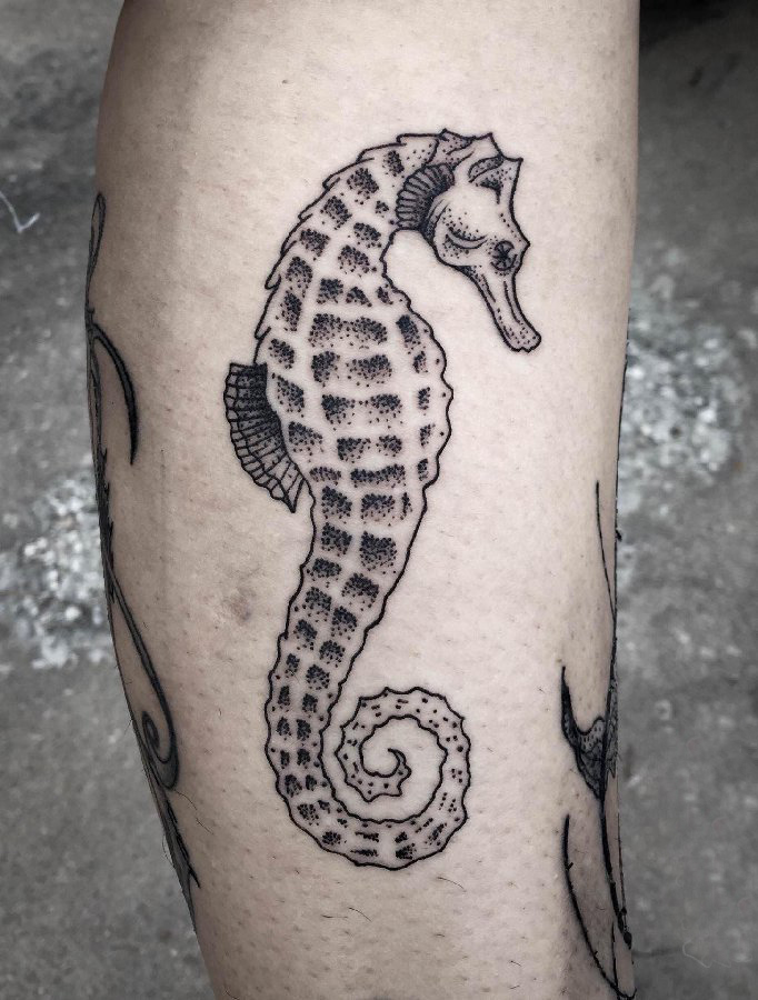 欧美小腿纹身 男生小腿上黑色的海马纹身图片